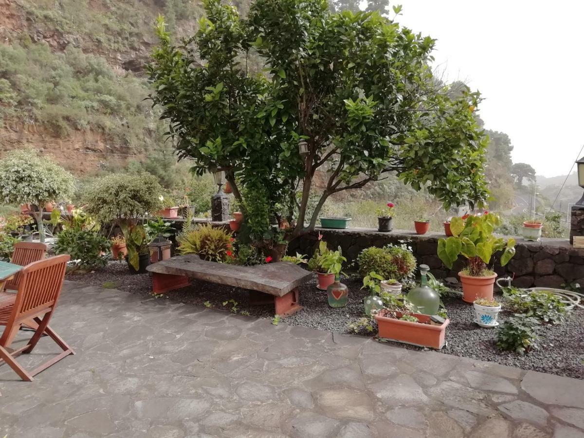 Grosse Finca 19Jh, Pool, Terrasse, Nahe Santa Cruz Santa Cruz de la Palma  Exterior foto