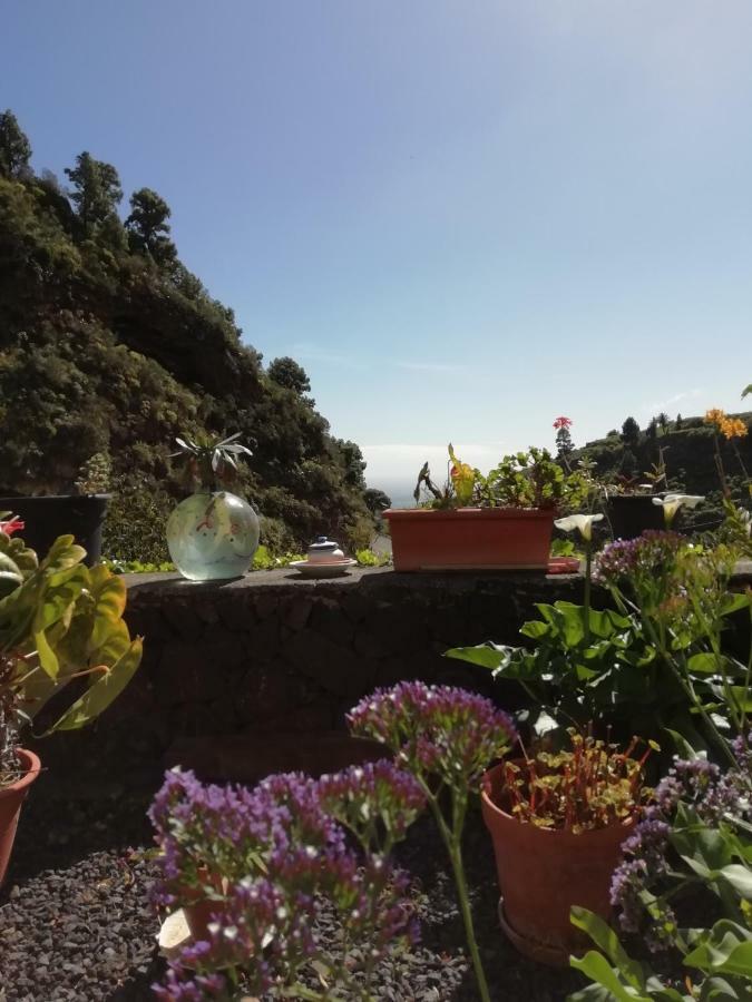 Grosse Finca 19Jh, Pool, Terrasse, Nahe Santa Cruz Santa Cruz de la Palma  Exterior foto